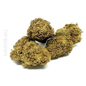 Kwiaty konopi CBD „TROPICANA” – susz konopny 1 g